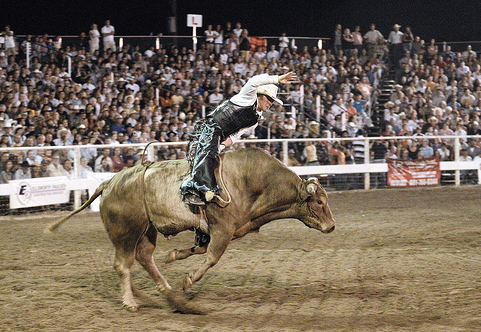 Professional Bull Riders at the Civic Center