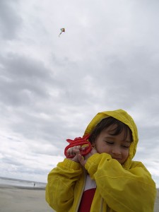 Kite Rally at Florence Marina State Park