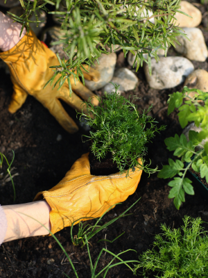 Gardening with the Masters @ Columbus Botanical Garden