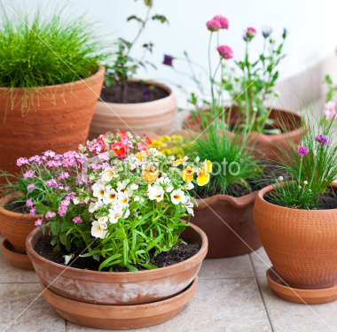 Gardening with the Masters: It’s Time to Consider Your Garden Space