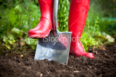 Gardening with the Masters: It’s time to Prepare Your Soil