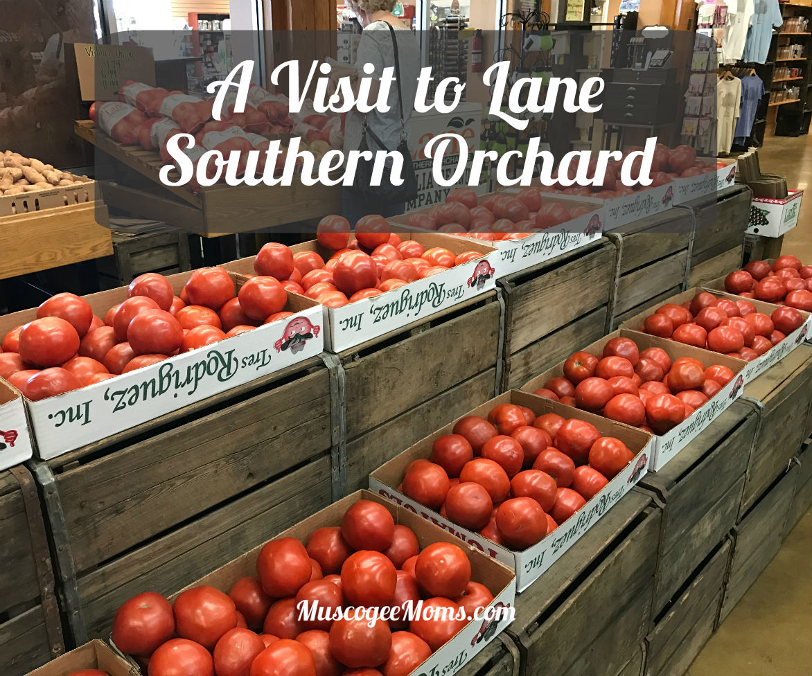 A visit to Lane Southern Orchards #Review