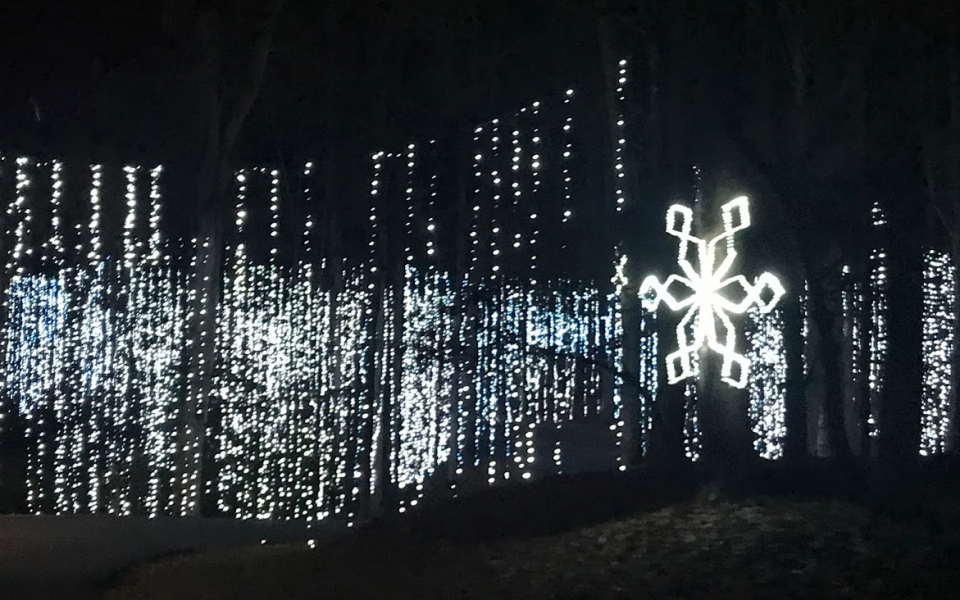 Spotlight Fantasy In Lights At Callaway Gardens